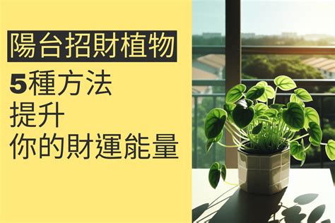 前陽台招財|陽台植物招財妙招！4種植物讓你財源滾滾來 